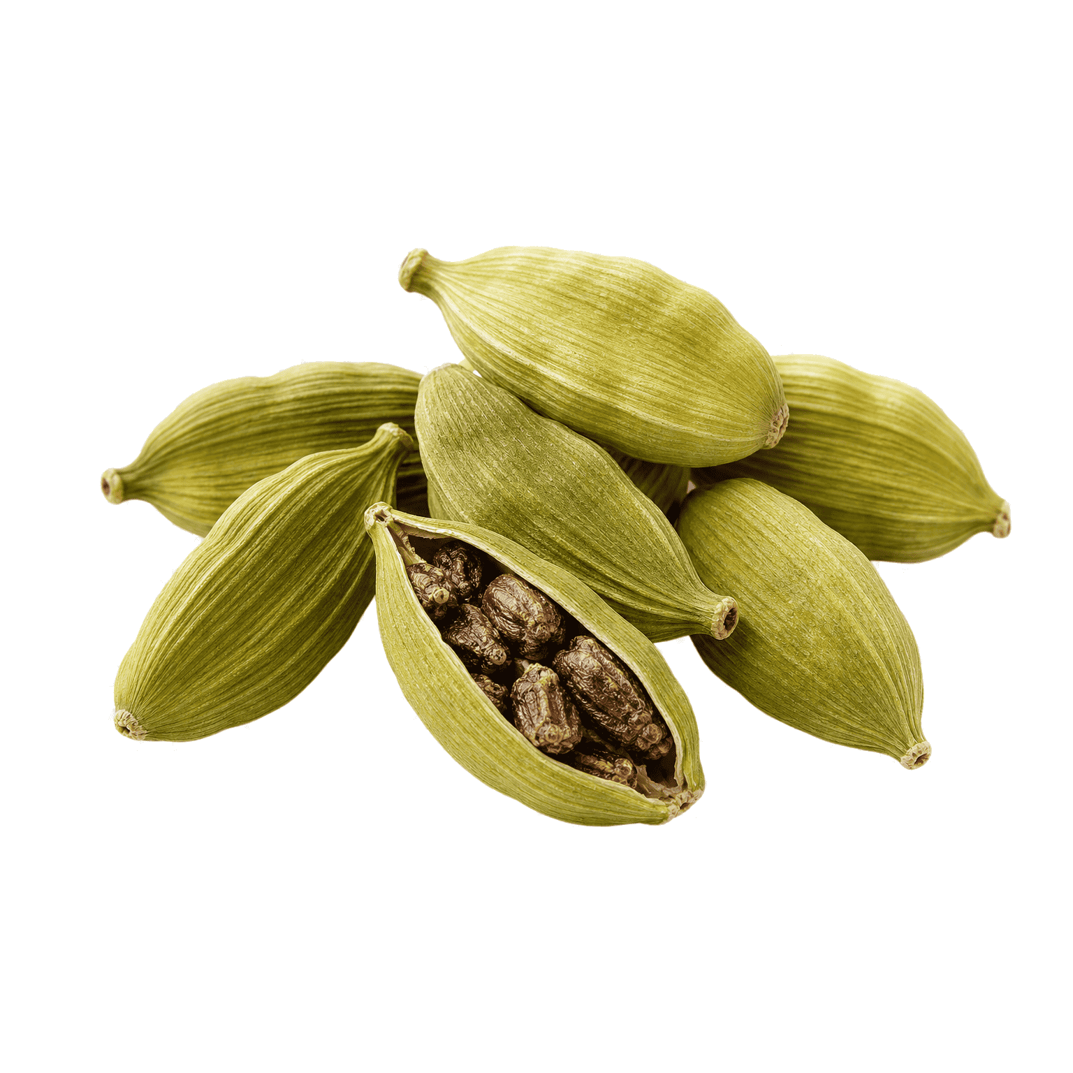 Cardamome