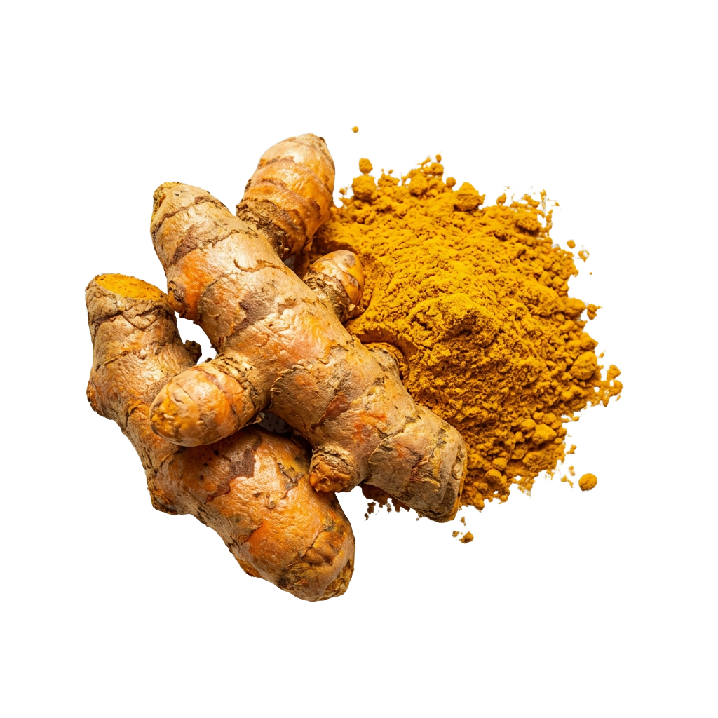 Curcuma